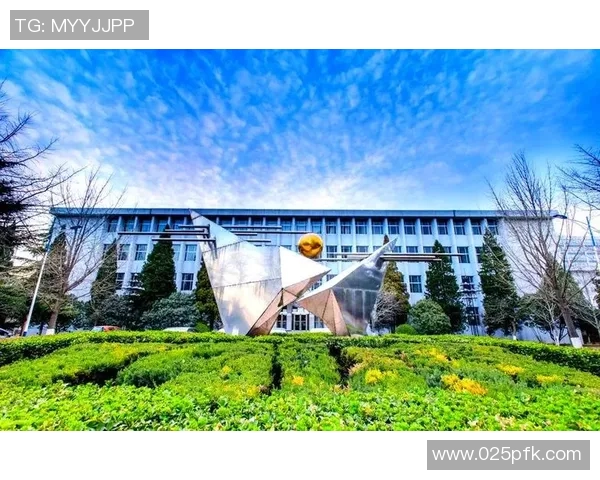 西班牙11号足球明星的辉煌历程与未来展望解析