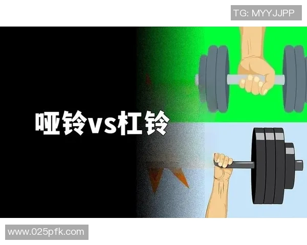 全面提升力量与耐力的健身器材哑铃与杠铃完美结合训练方案